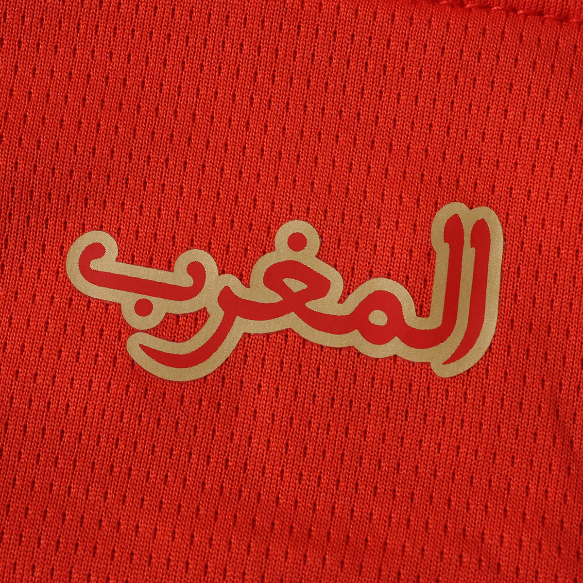 Morocco Home Jersey 2026 FIFA World Cup – Puma Red & Green Atlas Lions Kit | Fan Version